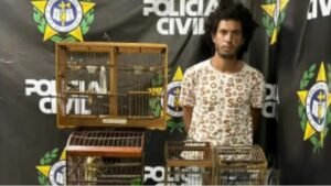 Barbárie diante das câmeras: capivara é espancada até a morte - até quando?