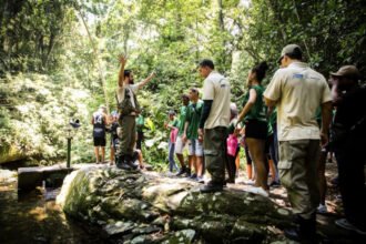 Inea deflagra operação nos parques estaduais durante o feriado prolongado