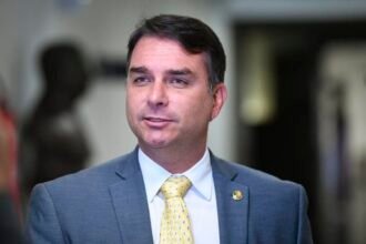 Comissão do Senado aprova porte de arma de fogo para advogados