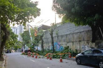 Niterói combate apagões matando árvores