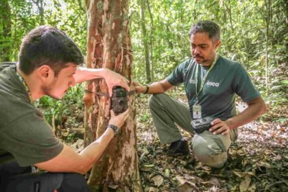 De olho na preservação: Governo do Rio vai implantar 480 câmeras para monitorar fauna silvestre