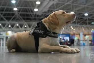 Ele tem cara de terrorista?