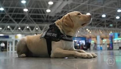 Ele tem cara de terrorista?