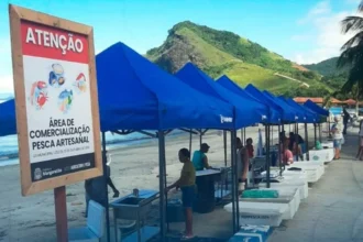 Mangaratiba regulamenta venda de peixes em Muriqui e fortalece economia local (Divulgação/PMM)