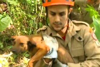 Caso Chiara: mentira que mobilizou as forças de segurança expõe impunidade
