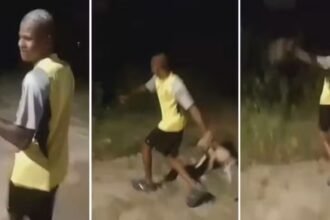 Até quando? Covardia contra filhote de vira-lata gera revolta na internet. Veja o vídeo