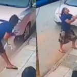 Restage impressionante! Mulher salva cãozinho de queda do terceiro andar e vídeo viraliza