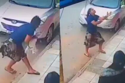 Restage impressionante! Mulher salva cãozinho de queda do terceiro andar e vídeo viraliza