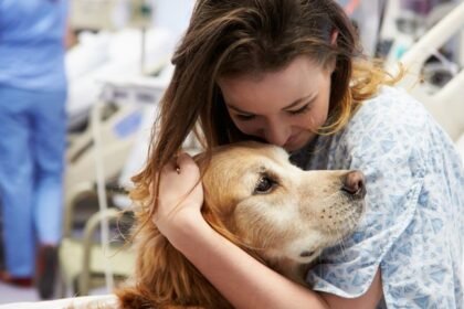 Rio de Janeiro avança com lei que amplia direitos de pessoas com deficiência e seus cães assistenciais