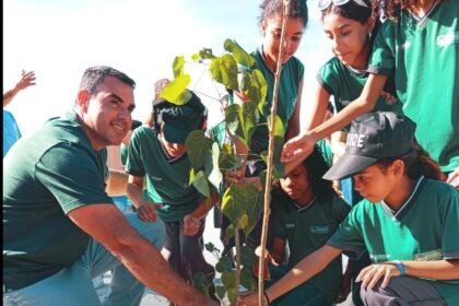 Iguaba Grande avança na sustentabilidade com mais de 700 árvores plantadas pelo programa Iguaba +Verde