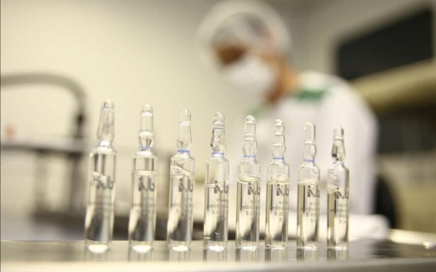 Alerj garante investimento estratégico para produção de soro contra aranha viúva-negra no Brasil