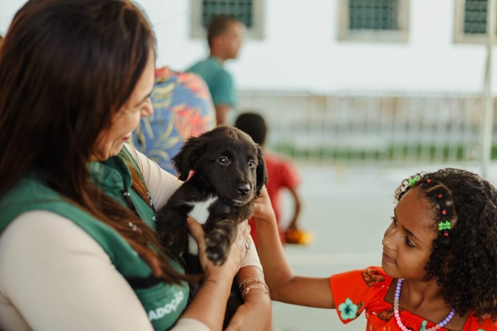 Mais de 400 animais adotados em Maricá: gestão Quaquá intensifica ações de proteção animal