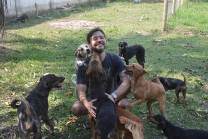 STF derruba recurso e expõe omissão da Prefeitura de Niterói com os animais de rua