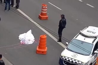 Homem que ameaçou matar cães de rua é morto com a própria faca no centro de São Paulo