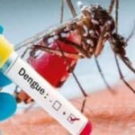 Rio de Janeiro lança ofensiva sustentável contra o Aedes aegypti com nova lei de autoria de Alexandre Knoploch