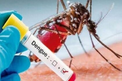 Rio de Janeiro lança ofensiva sustentável contra o Aedes aegypti com nova lei de autoria de Alexandre Knoploch