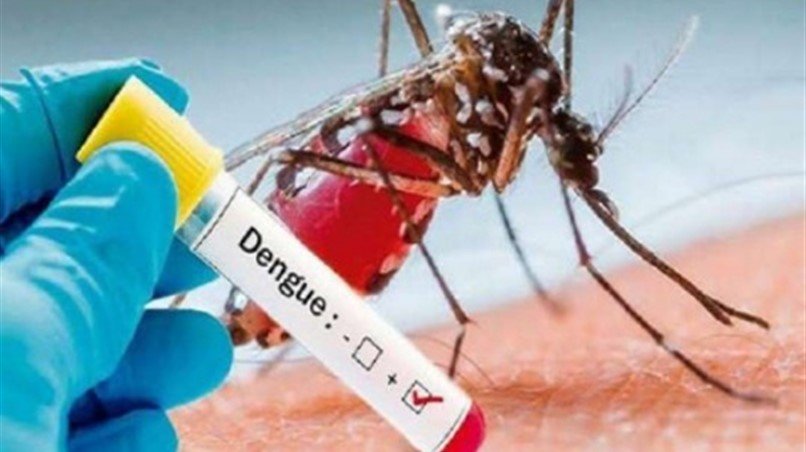 Rio de Janeiro lança ofensiva sustentável contra o Aedes aegypti com nova lei de autoria de Alexandre Knoploch