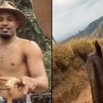 Liberado?! Homem que mutilou cavalo é solto após depoimento e caso acende alerta sobre risco à sociedade