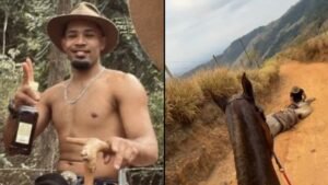 Liberado?! Homem que mutilou cavalo é solto após depoimento e caso acende alerta sobre risco à sociedade