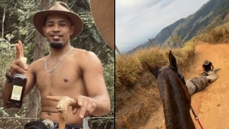 Liberado?! Homem que mutilou cavalo é solto após depoimento e caso acende alerta sobre risco à sociedade