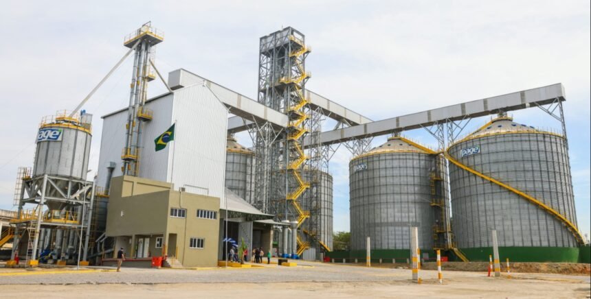 Porto do Rio recebe megainvestimento de R$ 90 milhões da Ambev e Savixx com promessa de 400 empregos