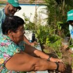 Mangaratiba cultiva esperança com Projeto 'Plante e Encante'