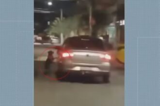 Cena de cão abandonado que tenta voltar para carro aos pulos choca população e reacende debate sobre impunidade; veja vídeo