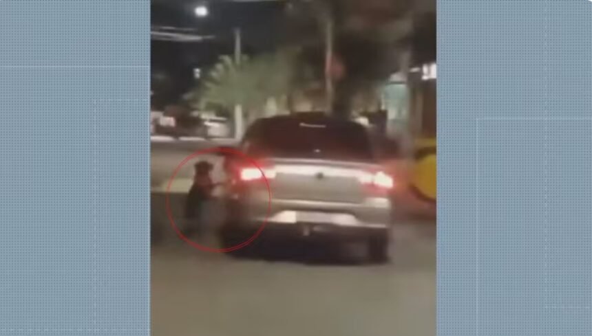 Cena de cão abandonado que tenta voltar para carro aos pulos choca população e reacende debate sobre impunidade; veja vídeo