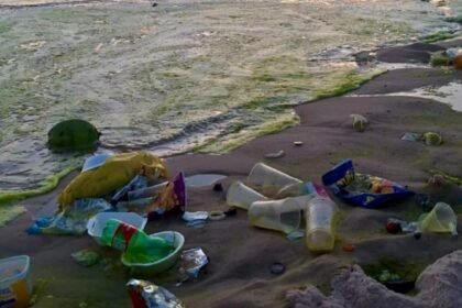 Câmara do Rio obriga Paes a cuidar das praias e derruba veto ao projeto Praia Limpa