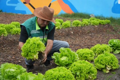 Prefeito Capitão Nelson transforma escolas em polos de produção sustentável em São Gonçalo