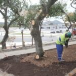 Parque RJ São Gonçalo floresce com novo paisagismo e promessa de lazer para milhares