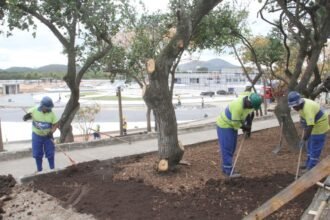 Parque RJ São Gonçalo floresce com novo paisagismo e promessa de lazer para milhares