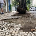 Retrato do abandono: Rua Paissandu agoniza à sombra do Aterro do Flamengo