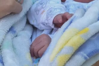 Nova lei em Niterói reforça divulgação da entrega de bebês para evitar abandono