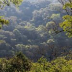 Reserva Biológica do Tinguá é oficialmente Patrimônio do Estado do Rio de Janeiro