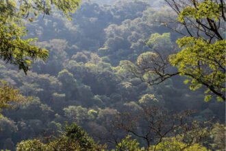 Reserva Biológica do Tinguá é oficialmente Patrimônio do Estado do Rio de Janeiro