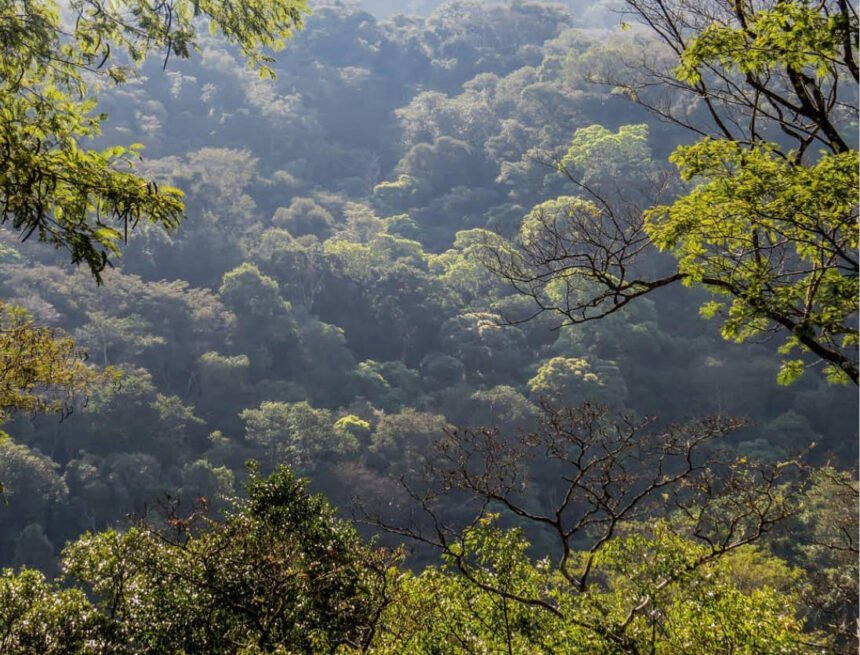 Reserva Biológica do Tinguá é oficialmente Patrimônio do Estado do Rio de Janeiro