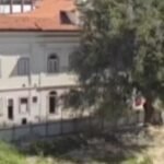 Justiça bate o martelo contra a motosserra da prefeitura no Flamengo