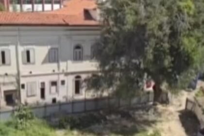 Justiça bate o martelo contra a motosserra da prefeitura no Flamengo