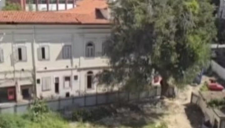 Justiça bate o martelo contra a motosserra da prefeitura no Flamengo