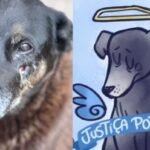 'De embrulhar o estômago’, diz governador de SC — Até quando monstros serão tratados como crianças?