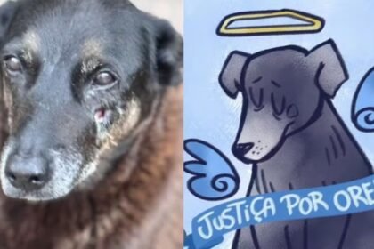 'De embrulhar o estômago’, diz governador de SC — Até quando monstros serão tratados como crianças?