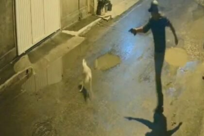 Cachorro é executado a tiros só porque latiu: brutalidade em Magé revolta o país; veja o vídeo