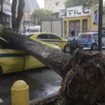 Brasil libera motosserra cidadã: se o governo não corta, você mesmo resolve!