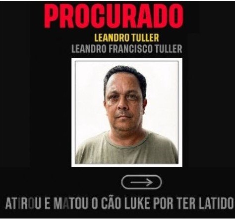 'Monstro de Magé': Polícia identifica e caça 'valentão' que matou cachorro indefeso a tiros