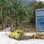 Passeios ao Horto e ao Borboletário, visita ao Parque Municipal e programação do Domingo no Parque em Teresópolis