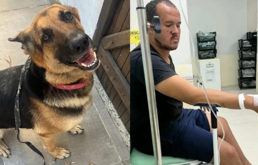 Terror em Niterói: Jacarés soltos, cadela morta, tutor ferido e cadê a prefeitura?