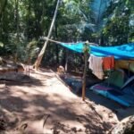 Omissão compartilhada: Prefeitura promete faxina no Parque da Tijuca, entrega abandono — e MPF aciona a Justiça para pôr ordem