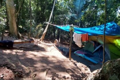 Omissão compartilhada: Prefeitura promete faxina no Parque da Tijuca, entrega abandono — e MPF aciona a Justiça para pôr ordem