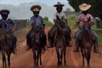 Norma do governo federal que obriga peão a trocar chapéu por capacete vira chacota e memes na internet